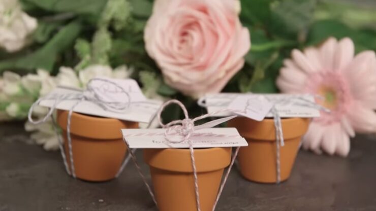 How To Make Plant Seed Party Favors